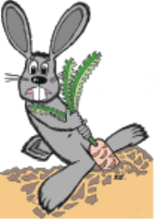 animal3